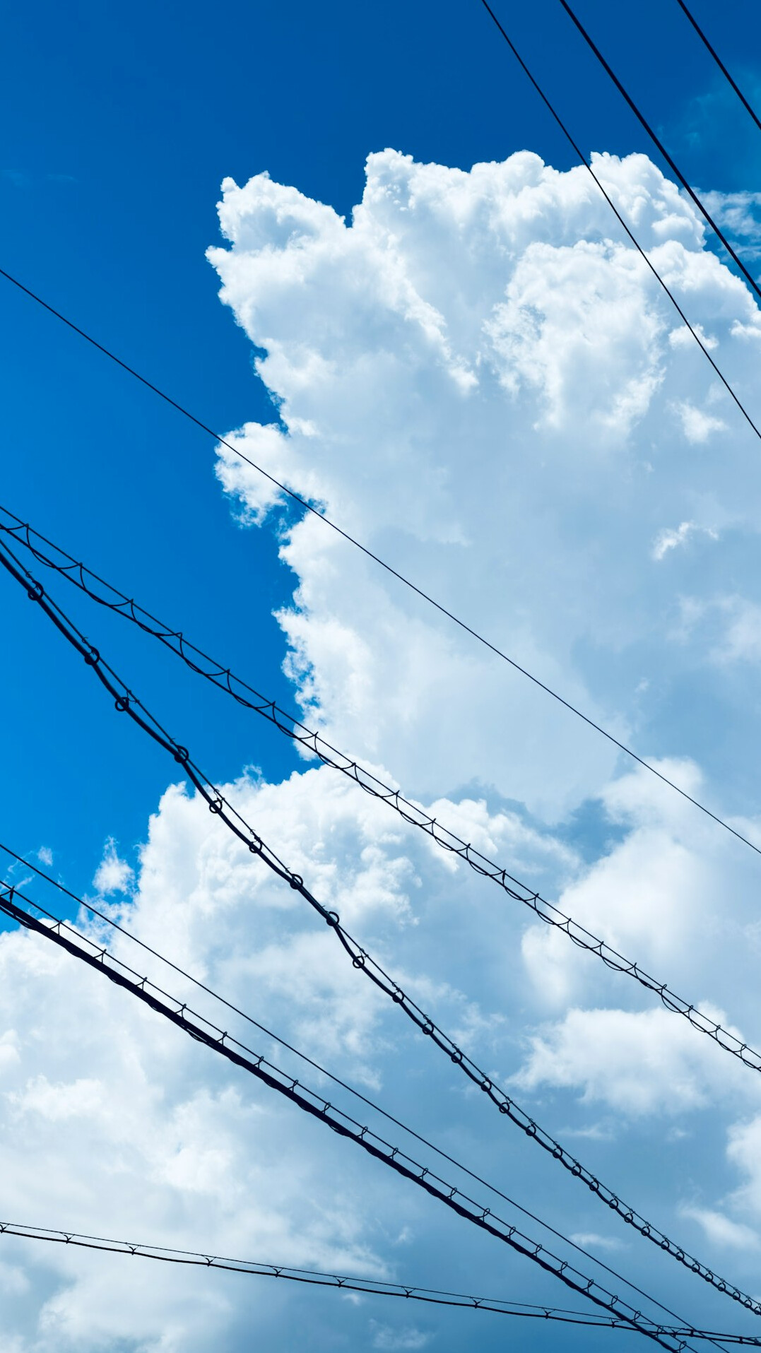 Abstract network cables and switches representing cloud infrastructure